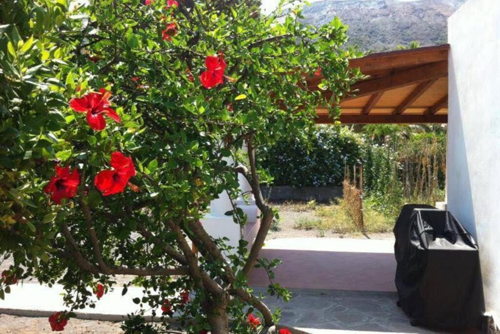 Villa By The Vulcano - 70Mq Plus Large Garden And Patio ภายนอก รูปภาพ