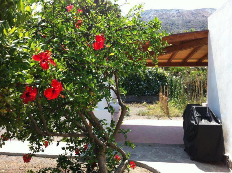 Villa By The Vulcano - 70Mq Plus Large Garden And Patio ภายนอก รูปภาพ